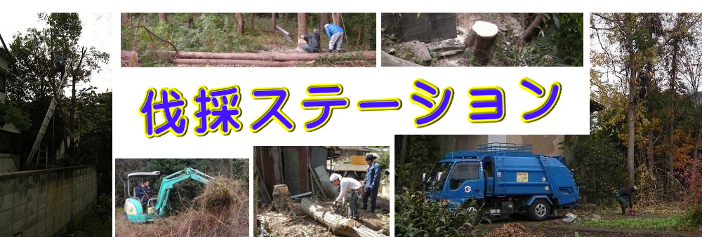 名古屋市南区の庭木伐採、立木枝落し、草刈りを承ります。